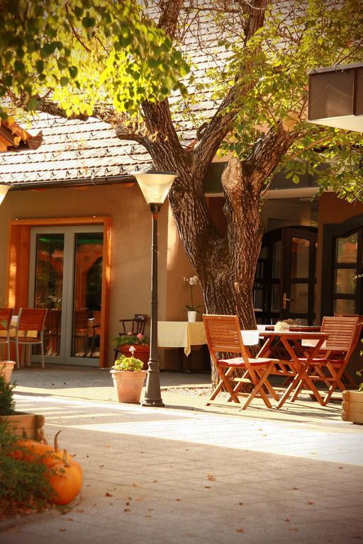 Gostilna Zolnir Hotell Kostanjevica na Krki Exteriör bild